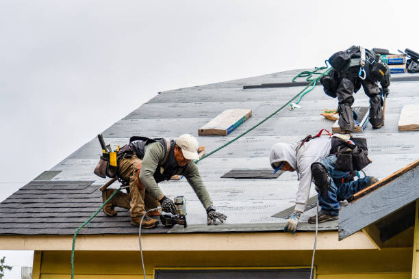 Professional Storm Damage Roof Repair technician working in Madrid, IA